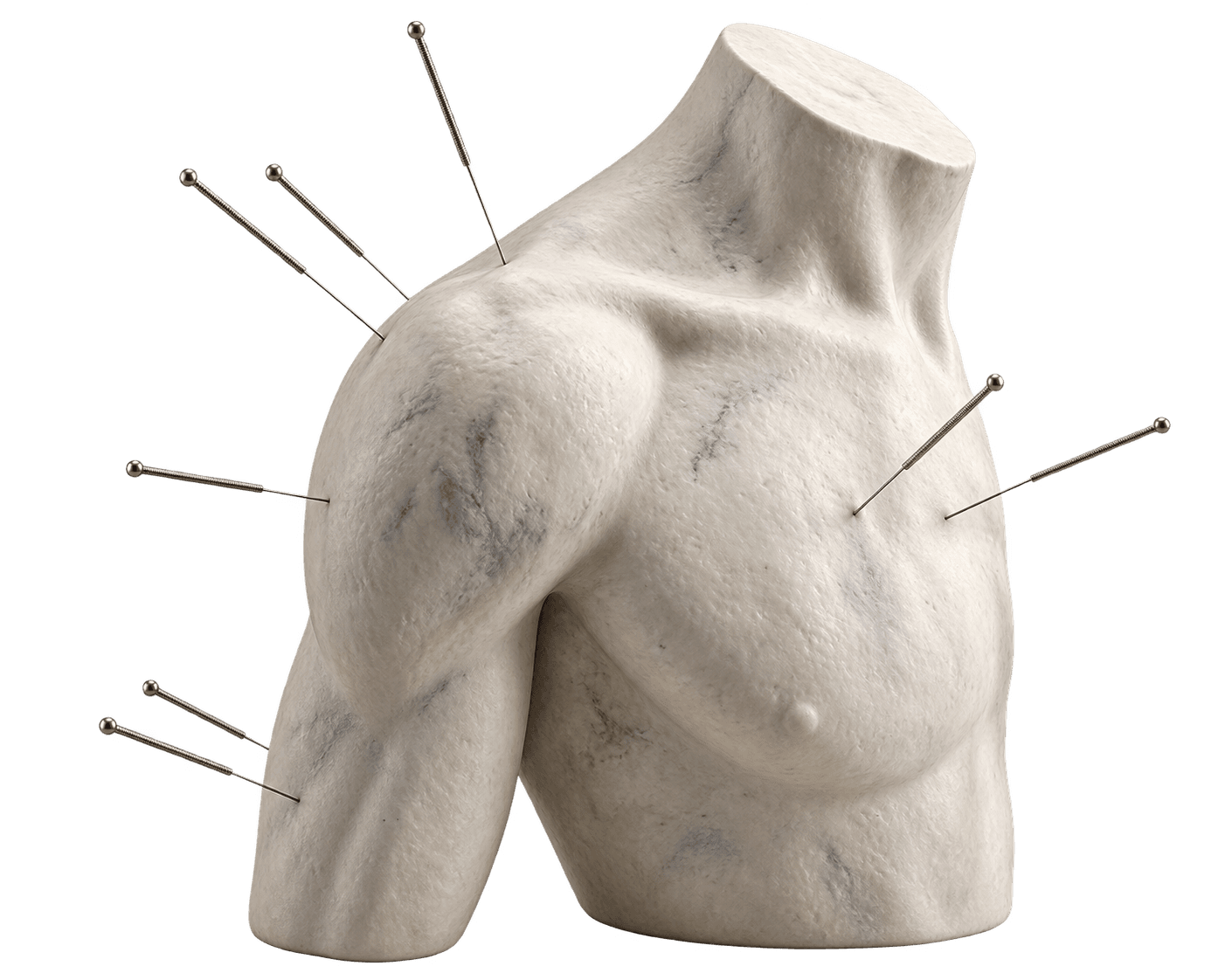 Acupuntura - Escultura de torso com agulhas